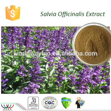 Natural herbal extraction Kosher FDA HACCP cGMP certified 10% carnosol 20% carnosic acid salvia hispanica extract
