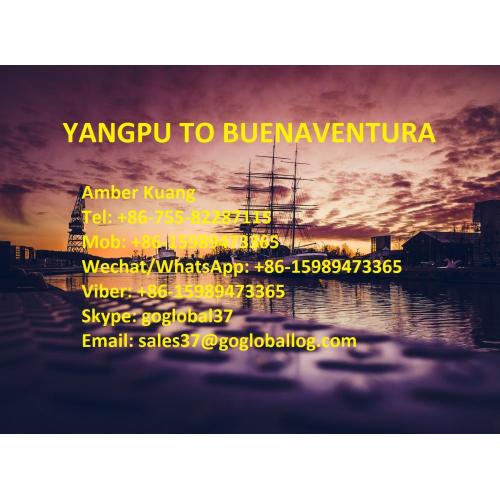 Hainan Yangpu Sea Freight to Columbia Buenaventura