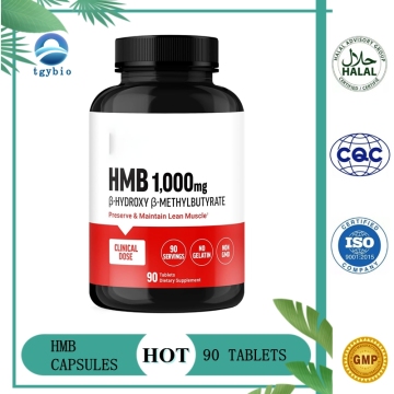 Capsules HMB de marque privée, vente en gros de bêta-hydroxy bêta-méthylbutyrate pour comprimés de soutien de forme physique et de force