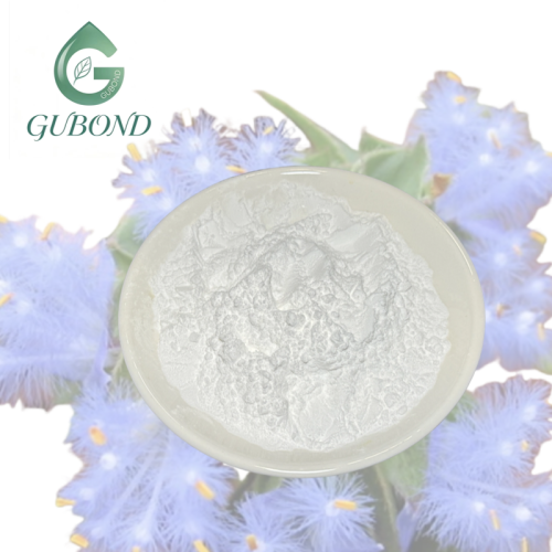 Высушенный распылением порошок зеленого яблока для функционального питания