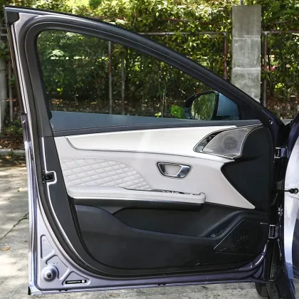 BYD Electric Cars with Sunroofs: Han EV and Dolphin EV