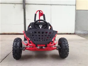 Ice Bear Dune Buggy for Kids