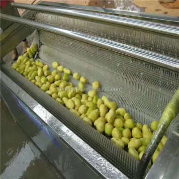 Potato Grading Washing Drying Machine