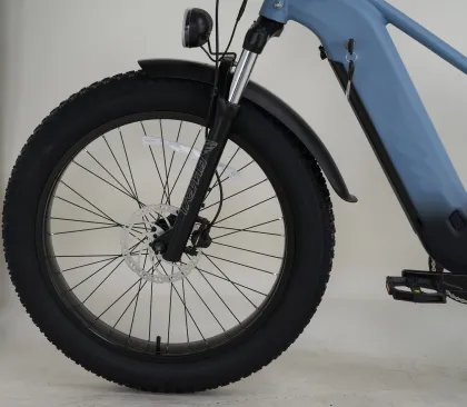 FH-MECHO CRU 48V 20Ah Lithium Battery Electric Bicycle