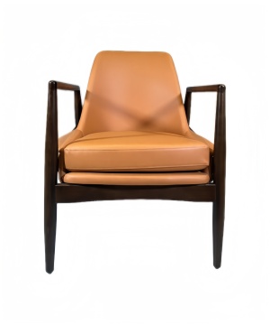 Contracted Modern French Leisure Chairs for Living Room with Solid Wood