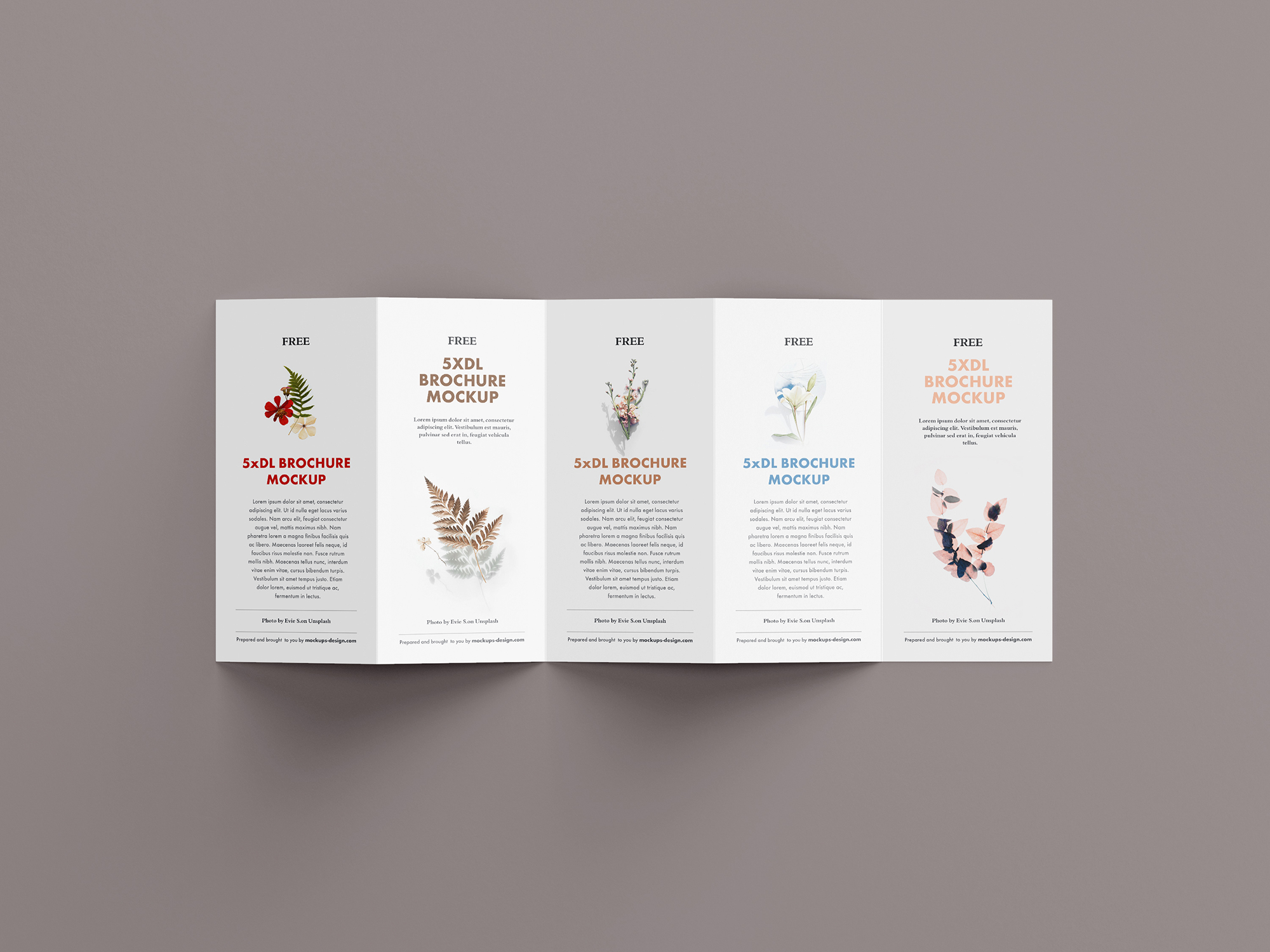 Five fold paper folded Leaflet