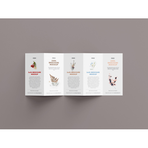 Five fold paper folded Leaflet