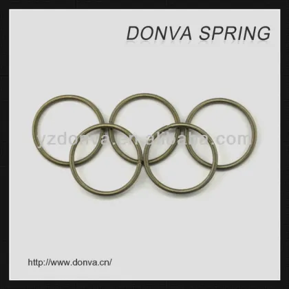 Oil Seal Spring Made of Alloy