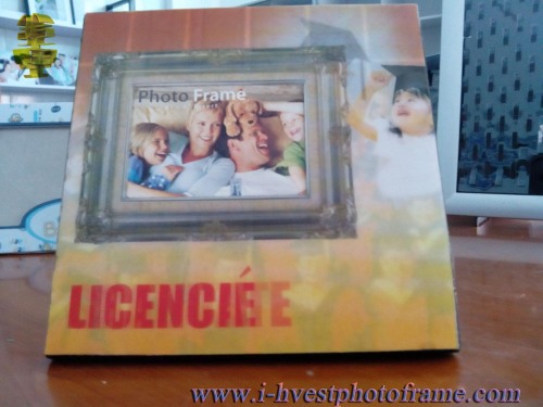 Lovely and Beautiful Three Dimensional Photo Frame (SP14002)