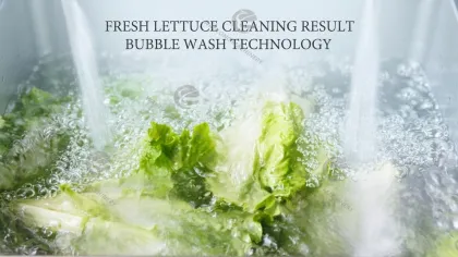 Industrial Fruit and Vegetable Washing Machine | High-Capacity Vegetable Cleaning Machine