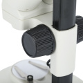 Students Science Learning Binocular Microscope