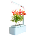 /msite/products/detail/productid/54708756/id/537503.html