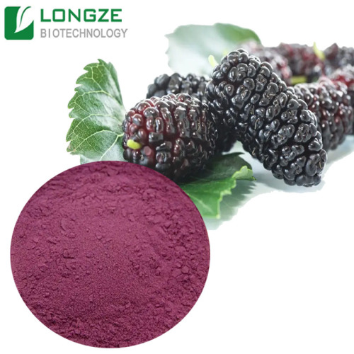 Mulberry Extract Fruit Powder