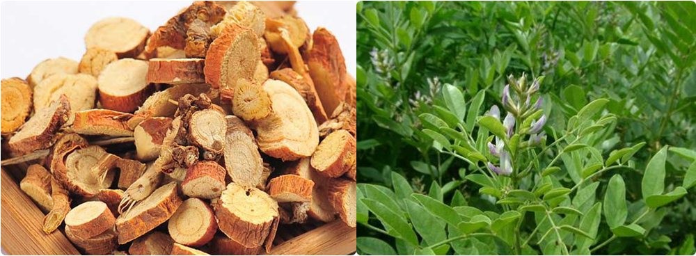 Glycyrrhiza glabra Extract