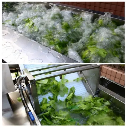 Commercial Air Bubble Vegetable Cleaning Machine