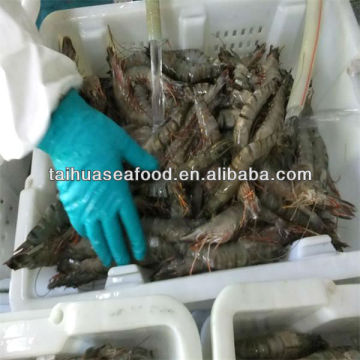 frozen crabs in shrimp