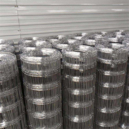 hardware galvanized iron welded wire mesh