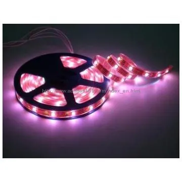LED High Voltage Strips Light (AC110V~240V Strips)