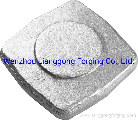 Customized Forging Valve Parts with Carbon Steel/Alloy Steel