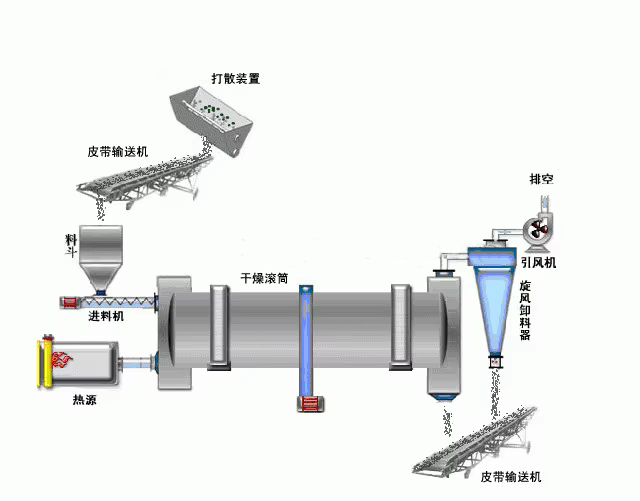 Rotary drum of drum dryer
