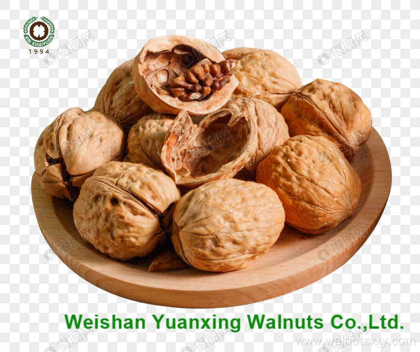 fresh taste sweet and crunchy Walnut Kernels Pieces