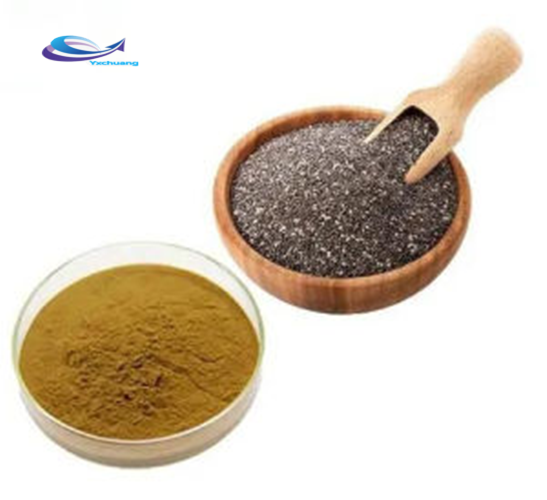  supply Chia Seed Extract Powder