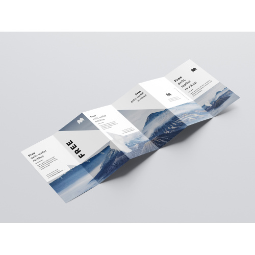 Professional Six-Fold Marketing Leaflet