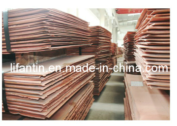 99.50 Copper Cathodes