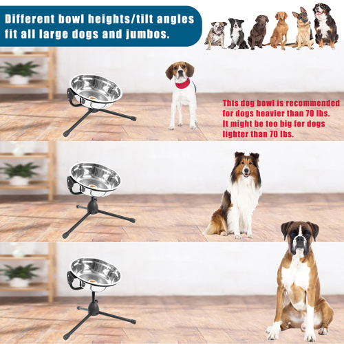 Dual Bowls for Large Dog