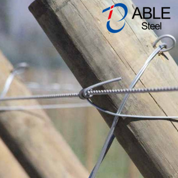 Electric and hot dip galvanized wire