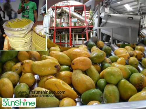 Mango machine/Mango puree processing machine