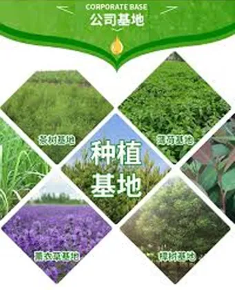 Jasmine Hydrosol Pure & Natural Floral Jasmine Water