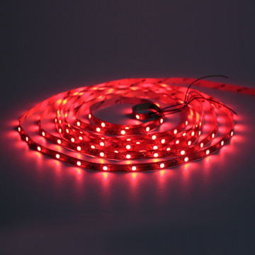 SMD LED Strip-2