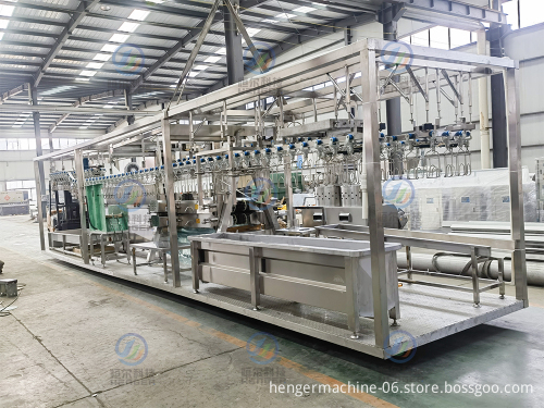 Chicken Slaughterhouse Slaughtering Line