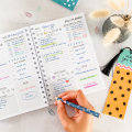 Caderno de planejador de organizações diárias A5 personalizado