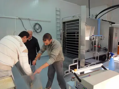 faba beans/dry beans/horse beans