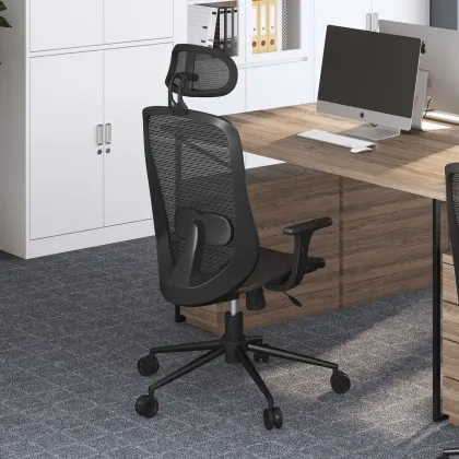 Premium Adjustable Ergonomic Office Chair with Lumbar Support
