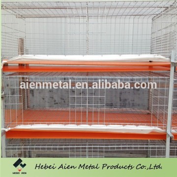 galvanized automatic baby chick cage