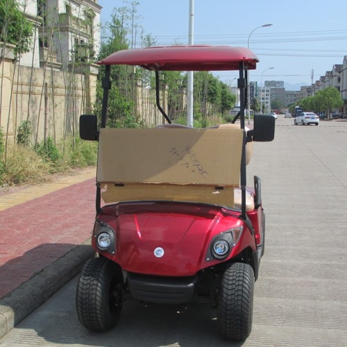 Carro de golf eléctrico con pilas de 2 asientos