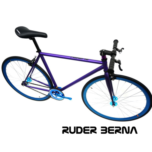 Ruder Berna Taiwan Made bicicletas speed used surrey mountain bike for sale