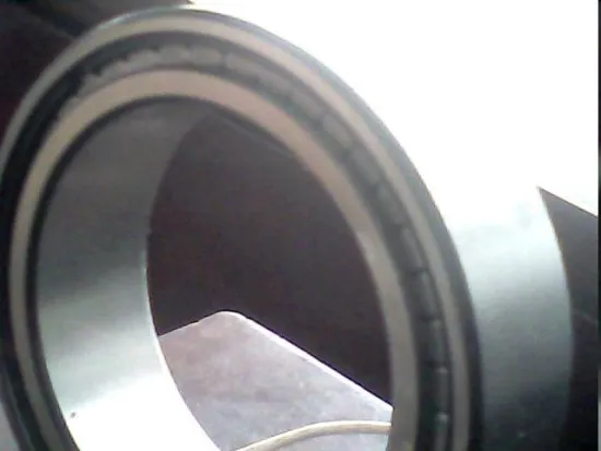 INA SL Bearings 18 5020 Steel Railway Bearing