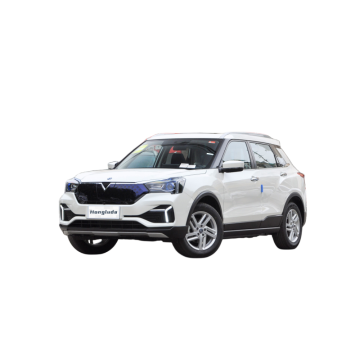 2024 Venucia T60 EV Pure Electric 5-Seater SUV - New Energy Vehicle