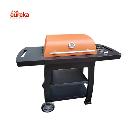 Kitchen Outdoor Cooking BBQ Gas Grill
