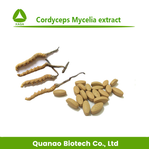 Cordycepin 98% Cordyceps Mycelia Extract Cordycepin 98% Powder Price Manufactory