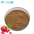 High quality of rosehip extract powder