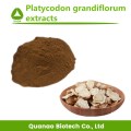 Ballon-Blumen-Wurzel-Extrakt / Platycodon Grandiflorum-Pulver