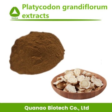 Balloon Flower Root Extract / Platycodon Grandiflorum Powder