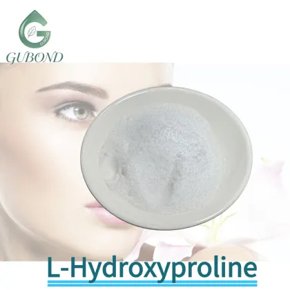 L-Hydroxyproline Powder for Collagen Skin Care Formulas