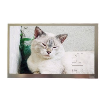 8.0 Inch TFT LCD Display Panel DJ080NA-03D 800x480 Resolution 6/8 Bit RGB Automotive Screen