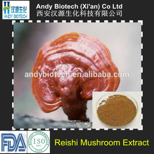 Raw material reishi beta-glucan polysaccharide